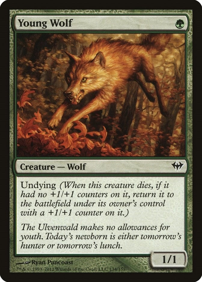 Young Wolf (134) (Dark Ascension)