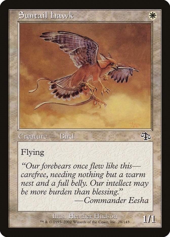 Image for Suntail Hawk (28) (Judgment) (JUD) - Magic: The Gathering