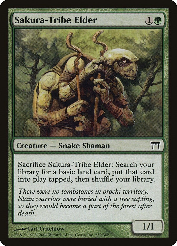 Image for Sakura-Tribe Elder (239) (Champions of Kamigawa) (CHK) - Magic: The Gathering