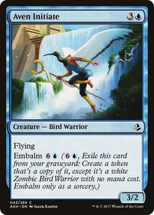 Image for Aven Initiate (43) (Amonkhet) - Magic: The Gathering