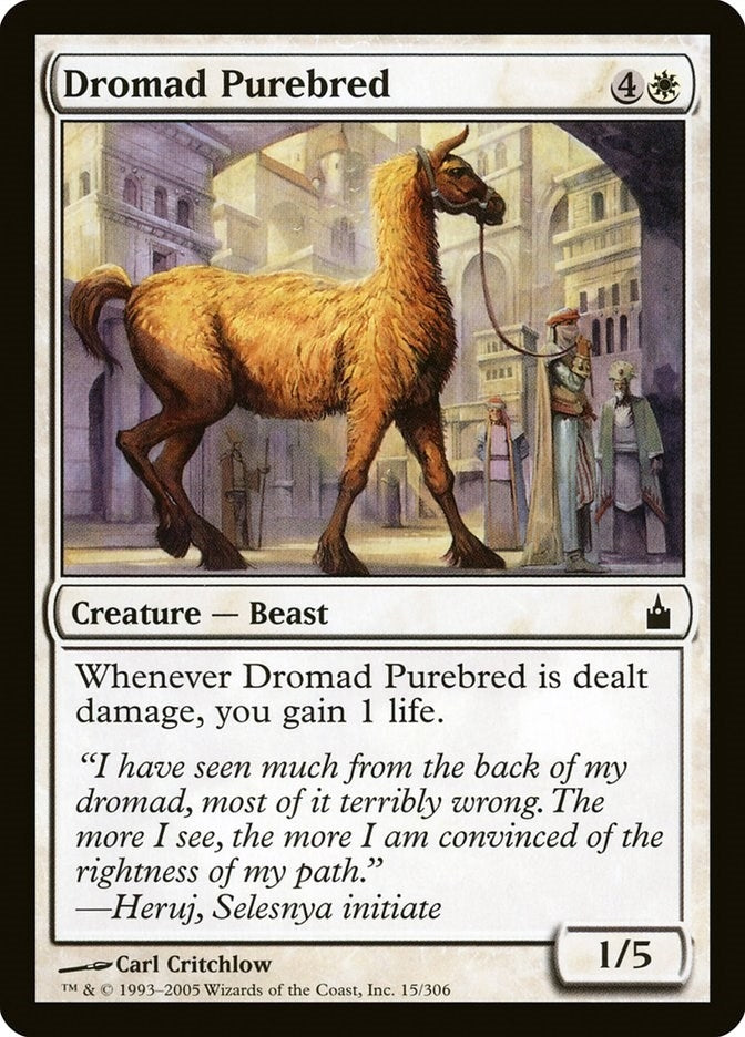 Image for Dromad Purebred (15) (Ravnica: City of Guilds) - Magic: The Gathering