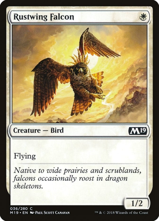 Image for Rustwing Falcon (36) (Core Set 2019) - Magic: The Gathering