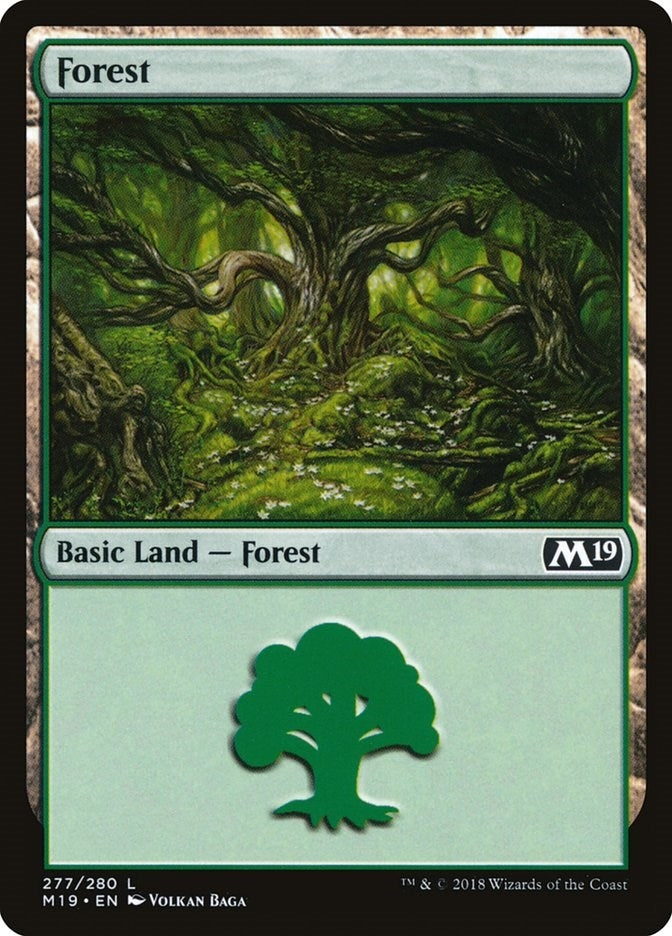 Forest (277) (277) (Core Set 2019)
