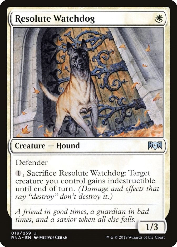 Image for Resolute Watchdog (19) (Ravnica Allegiance) - Magic: The Gathering