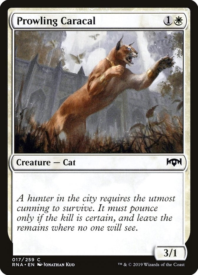 Image for Prowling Caracal (17) (Ravnica Allegiance) - Magic: The Gathering
