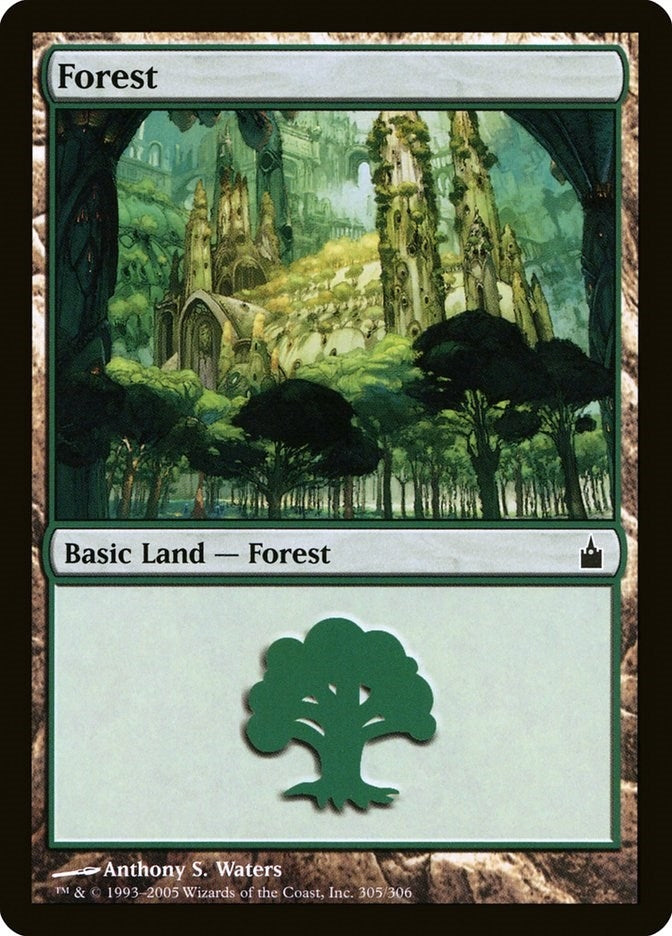 Forest (305) (305) (Ravnica: City of Guilds)