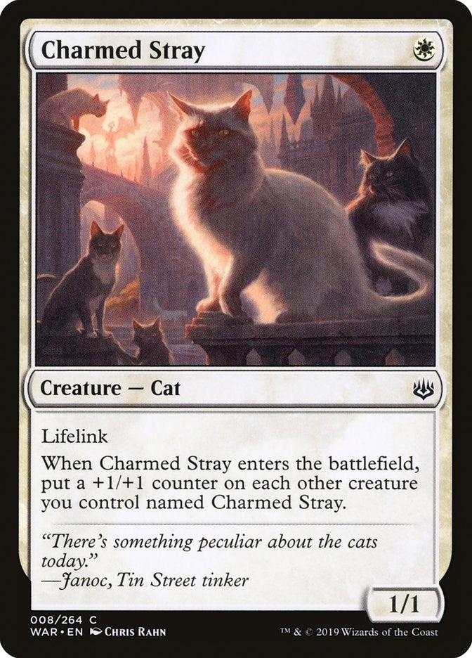 Image for Charmed Stray (8) (War of the Spark) - Magic: The Gathering