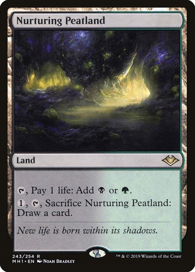 Image for Nurturing Peatland (243) (Modern Horizons) - Magic: The Gathering