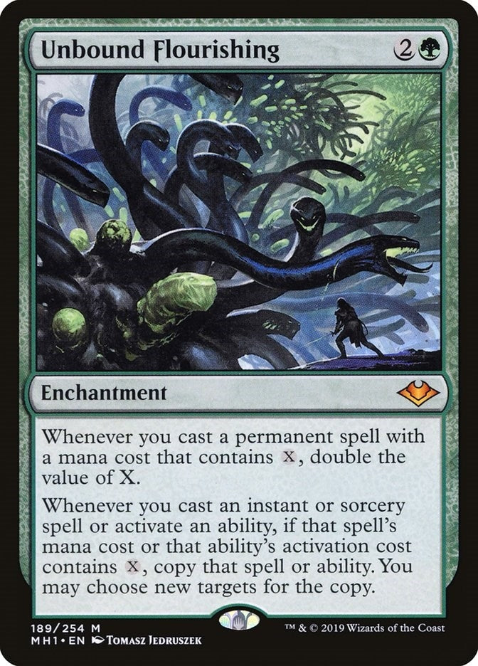 Unbound Flourishing (189) (Modern Horizons)