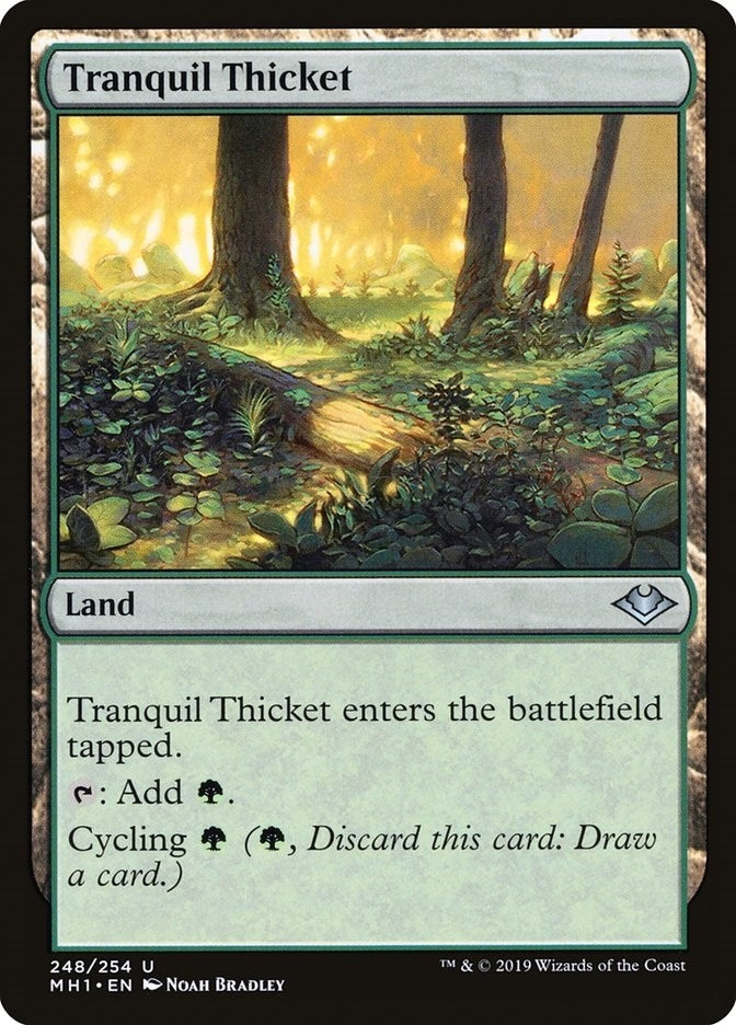 Tranquil Thicket (248) (Modern Horizons)