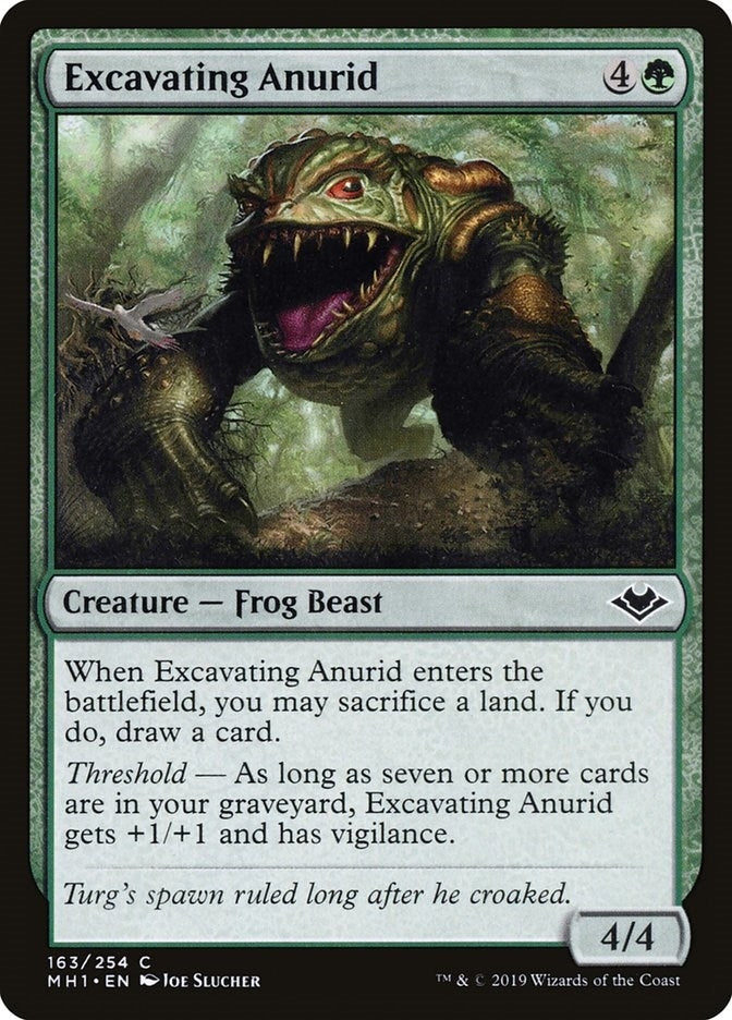 Excavating Anurid (163) (Modern Horizons)