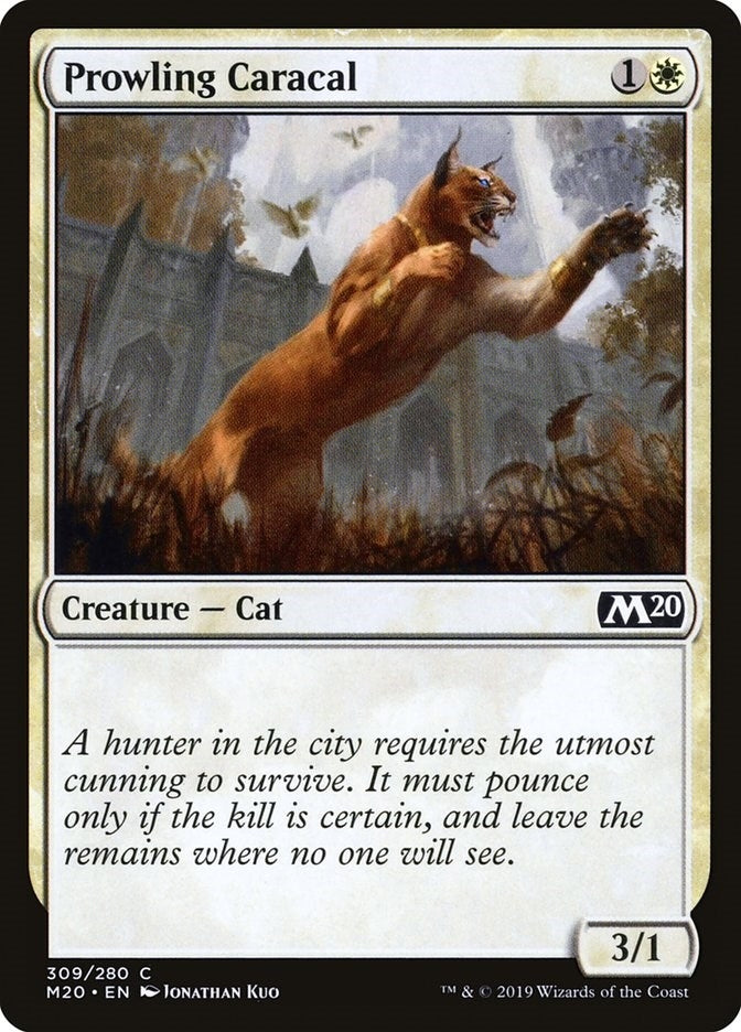 Image for Prowling Caracal (309) (Core Set 2020) - Magic: The Gathering