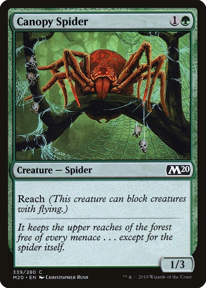 Image for Canopy Spider (339) (Core Set 2020) - Magic: The Gathering
