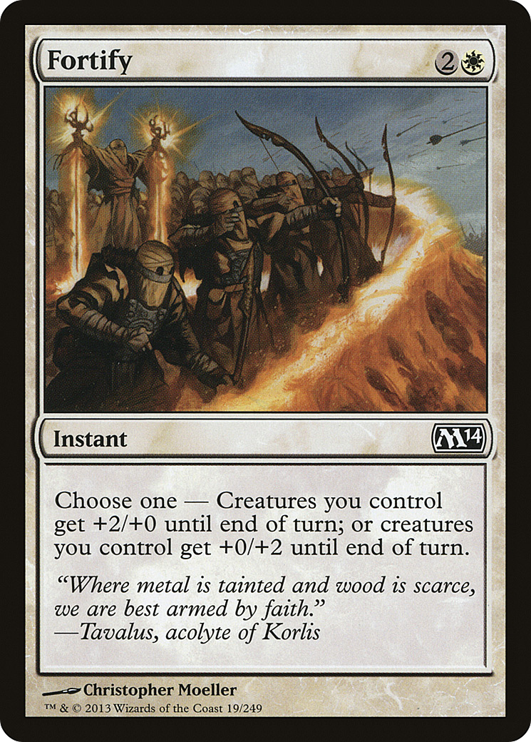 Fortify (19) (M14)