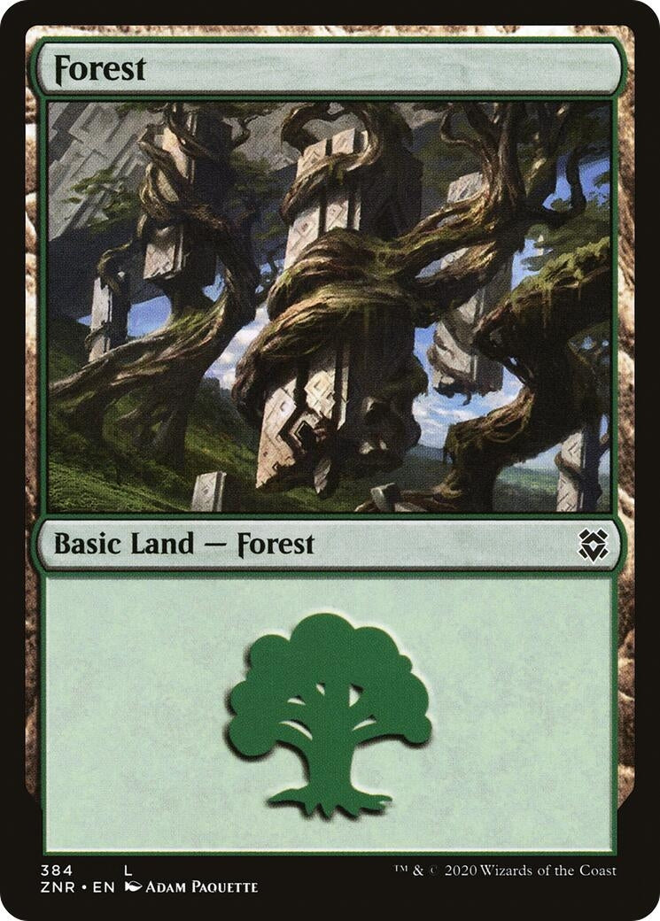 Forest (384) (Zendikar Rising)