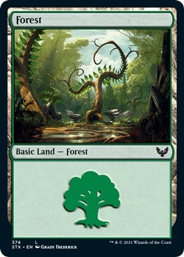 Forest (374) (374) (Strixhaven: School of Mages)