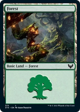 Forest (375) (375) (Strixhaven: School of Mages)