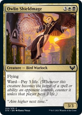Image for Owlin Shieldmage (210) (Strixhaven: School of Mages) - Magic: The Gathering
