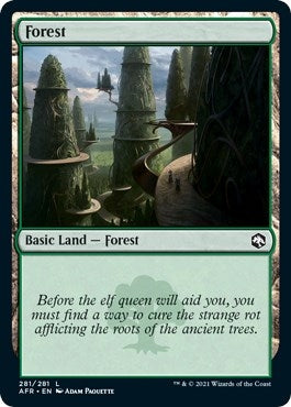 Image for Forest (281) (281) (Adventures in the Forgotten Realms) - Magic: The Gathering