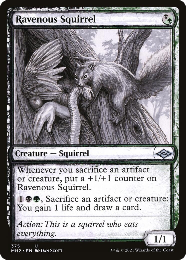 Image for Ravenous Squirrel (Showcase) (375) (Modern Horizons 2) - Magic: The Gathering