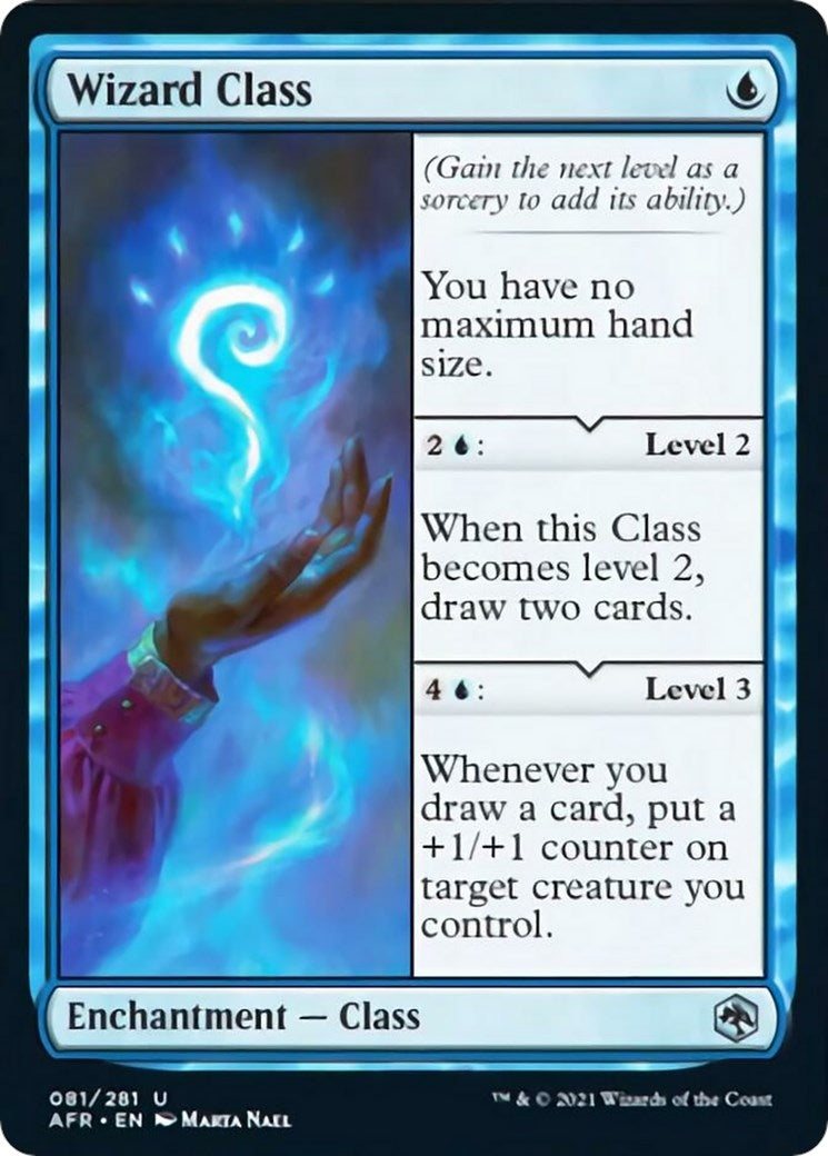 Wizard Class (81) (Adventures in the Forgotten Realms)