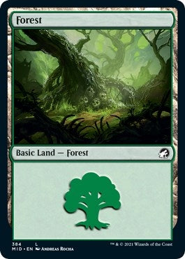Image for Forest (384) (384) (Innistrad: Midnight Hunt) - Magic: The Gathering