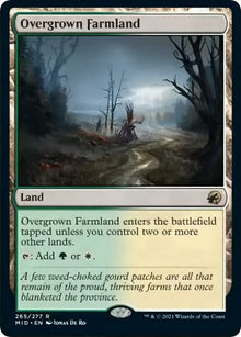 Overgrown Farmland (265) (Innistrad: Midnight Hunt)