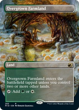 Overgrown Farmland (Borderless) (283) (Innistrad: Midnight Hunt)