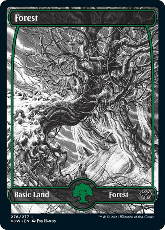 Forest (276) (276) (Innistrad: Crimson Vow)