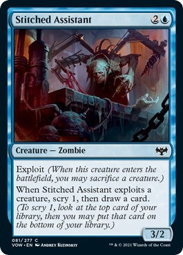 Stitched Assistant (81) (Innistrad: Crimson Vow)