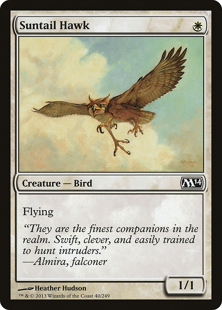 Suntail Hawk (40) (M14)