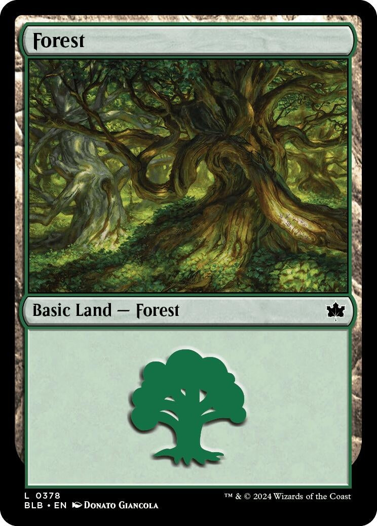 Image for Forest (0378) (378) (Bloomburrow) - Magic: The Gathering