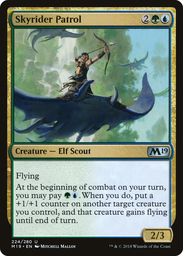 Skyrider Patrol (224) (M19)