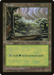 Forest (Cloudy) (349) (TMP)