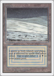 Image for Tundra (Unlimited Edition) - Magic: The Gathering