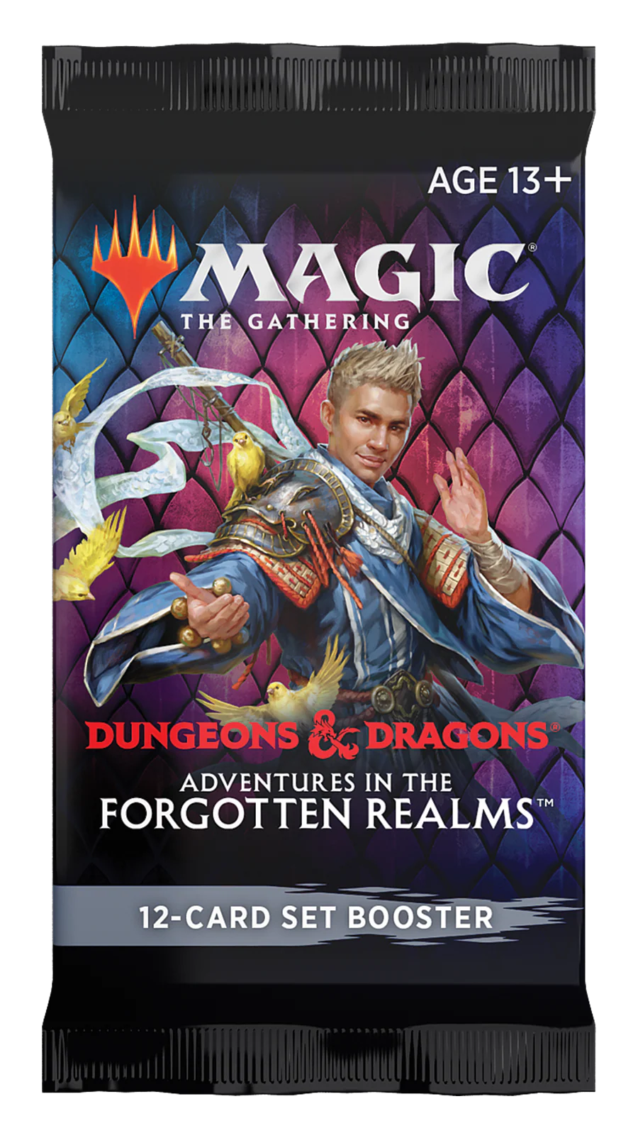 Dungeons & Dragon: Adventures in the Forgotten Realms Set Booster Pack