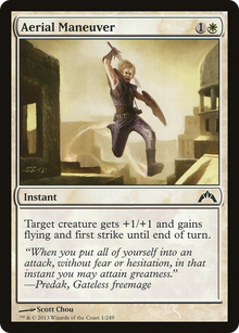 Aerial Maneuver (1) (GTC)